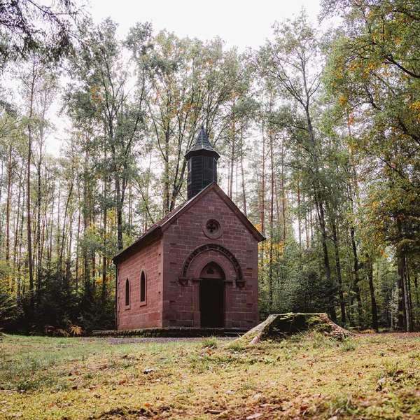 Chapelle Notre-Dame-des-bois