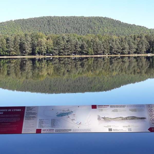 The peat bog at Hanau lake