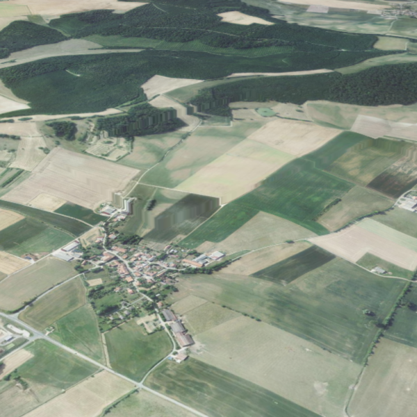 Forêt domaniale de Bride