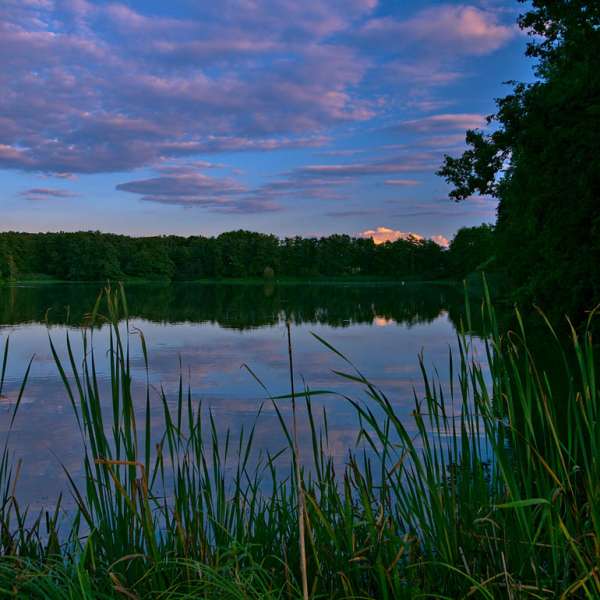 Ponds circuit - Rhodes - Lindre - Canal