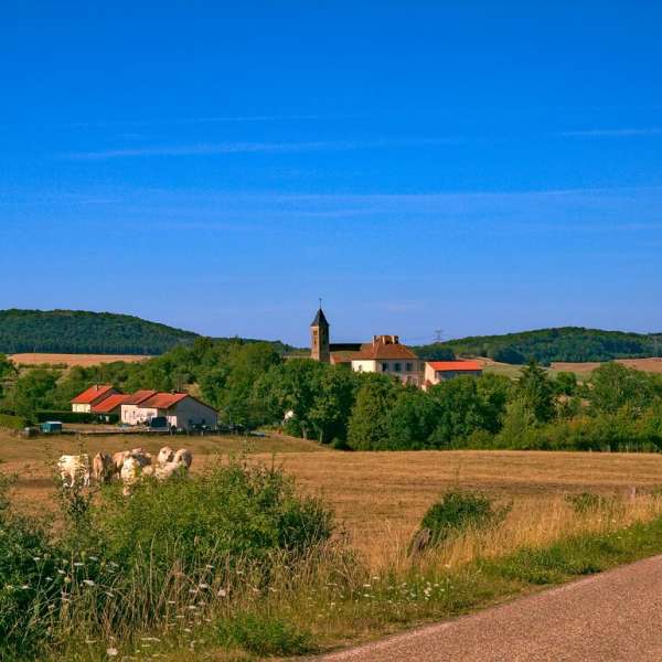 The schoolchildren's path