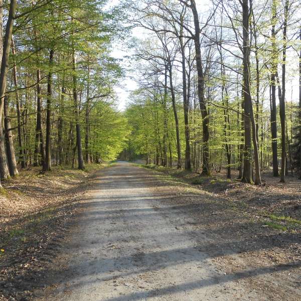 Oderfang discovery tour