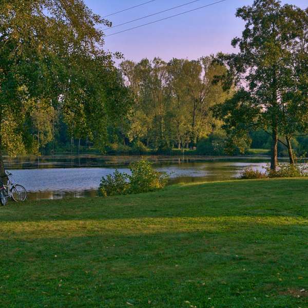 Rinting ponds circuit