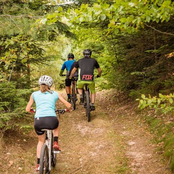 Zorn mountain bike circuit