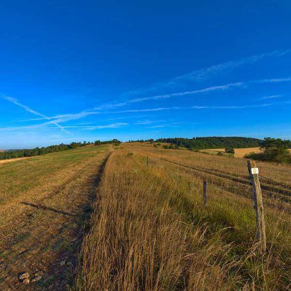 GR501 from Plappeville to Bouxieres-sous-Froidmont