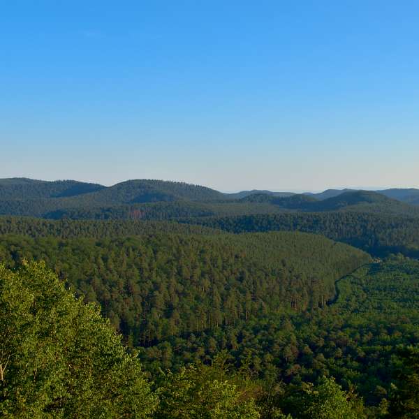 Châteaux loop on horseback