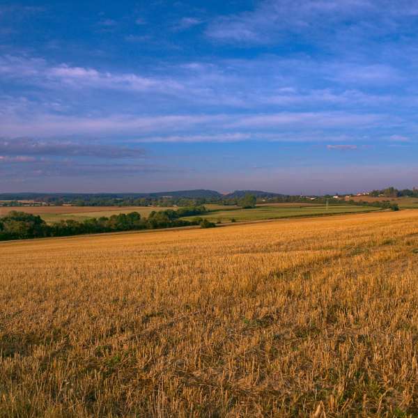La fontaine à lion - le chemin des écoliers mountain bike link