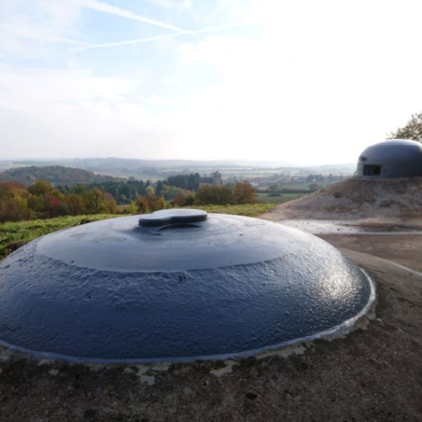 Observatoire des chênes brulés