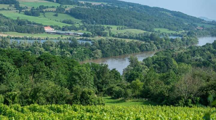 Domaine buzéa g-c