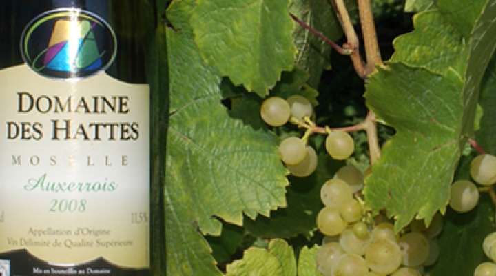 DOMAINE DES HATTES