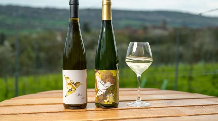 Domaine Briquet Muller
