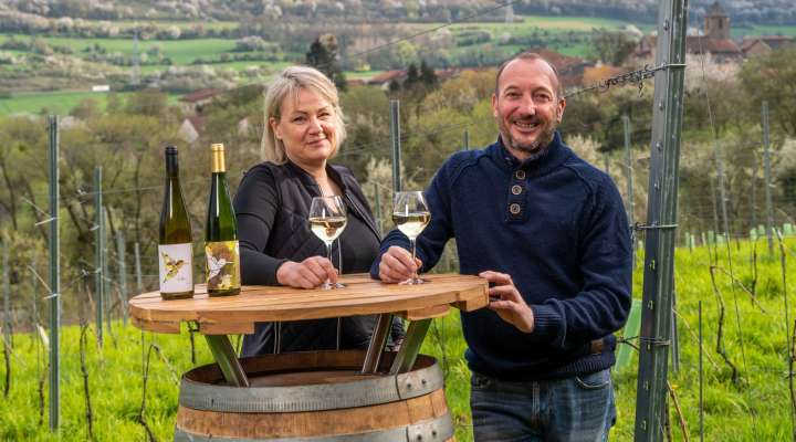 Domaine Briquet Muller