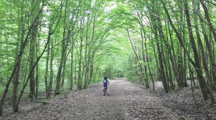 Usselskirch Tower and stations of the cross