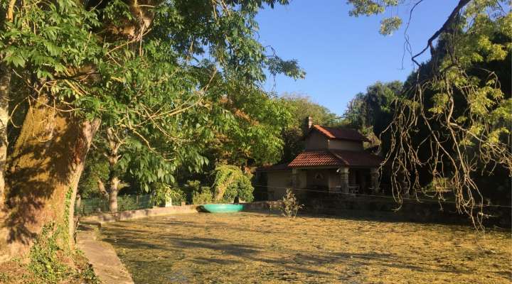 Jean-Philippe Hames – Crayfish