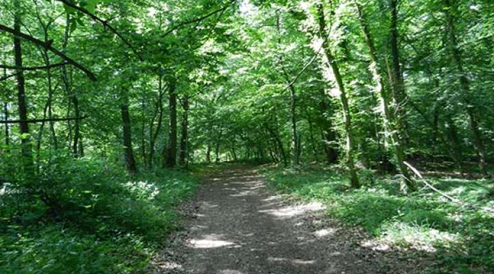 Boust pedestrian circuit
