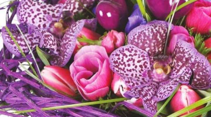 Lavandou Fleurs