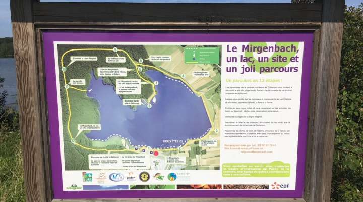 Circular trail around Mirgenbach lake