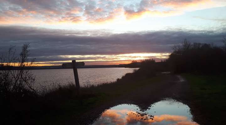 Circular trail around Mirgenbach lake