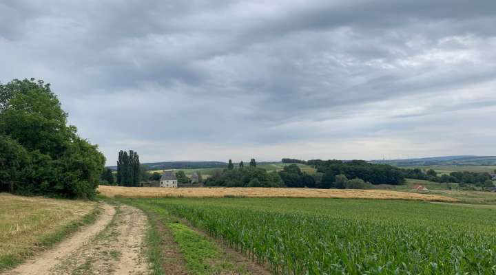 Marche des Bildstocks