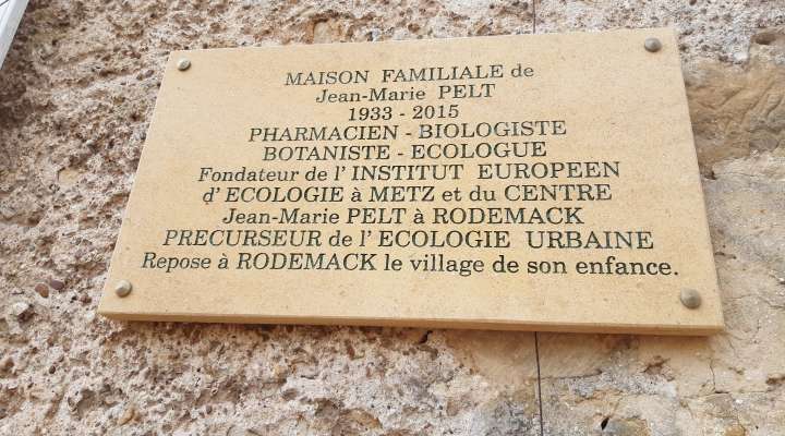 Jean-Marie Pelt trail - family loop