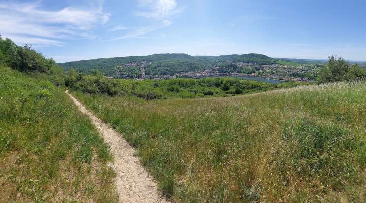 MOSELLE 3 TRAIL