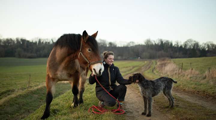 Domaine de l'Altbach