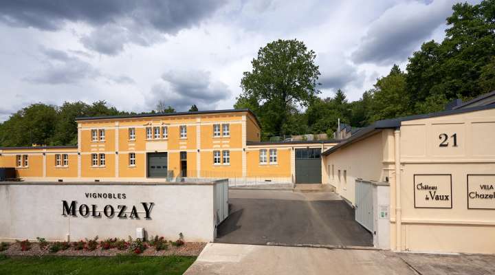 Château de Vaux - Molozay vineyards