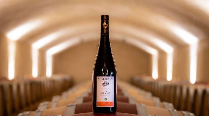 Château de Vaux - Molozay vineyards