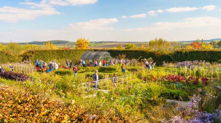 The Laquenexy Fruit Gardens