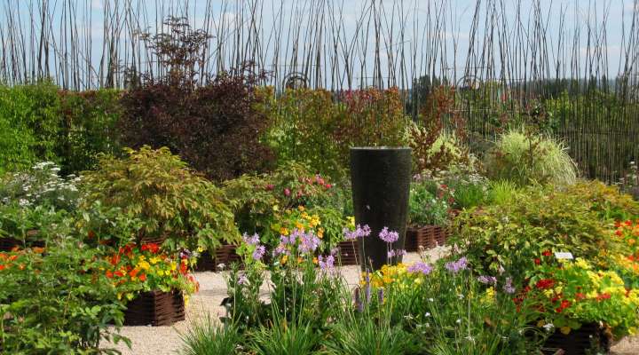 The Laquenexy Fruit Gardens