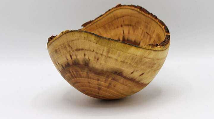 Woodturning workshop - Au delà des arbres