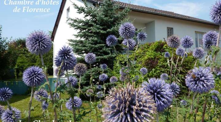 Florence guest house