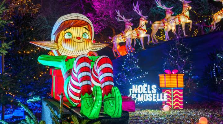 Visite guidée de Metz - Metz de Noël