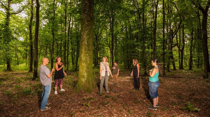 Sylvotherapy: sensory and energetic immersion