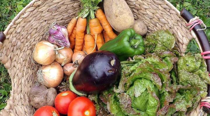 Les jardins de Guenviller