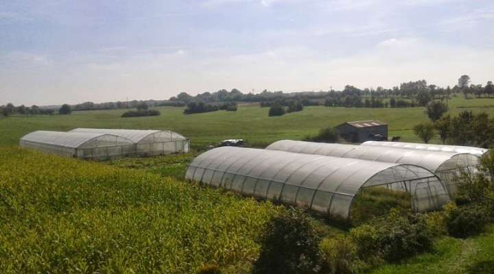 Les jardins de Guenviller