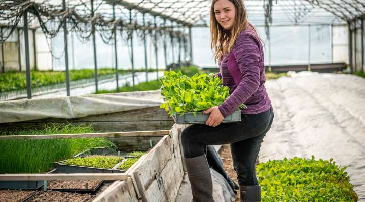 Les jardins de Guenviller