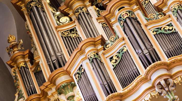 Organs of Saint-Maximin