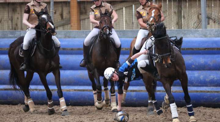 Centre équestre pole hippique de Yutz