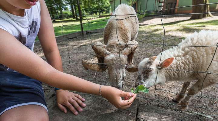Circuit découverte de Florange