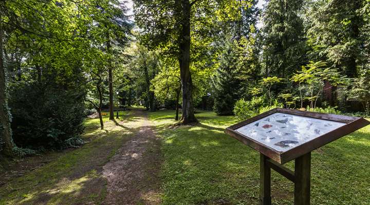 Nilvange Castle Park