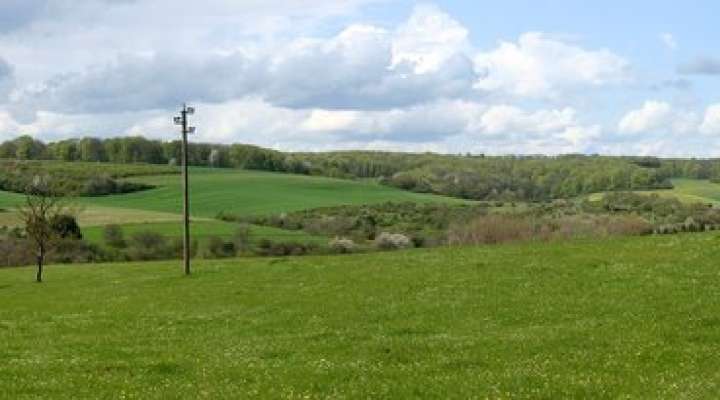 Circuit du bois de la dame