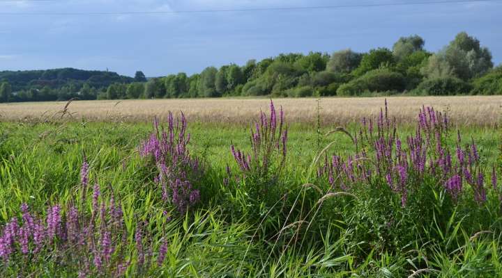 Circuit de La Grange