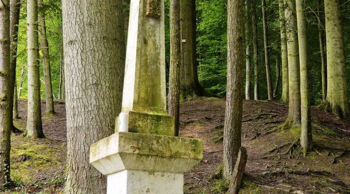 Promenade linéaire Thionville - Bellevue