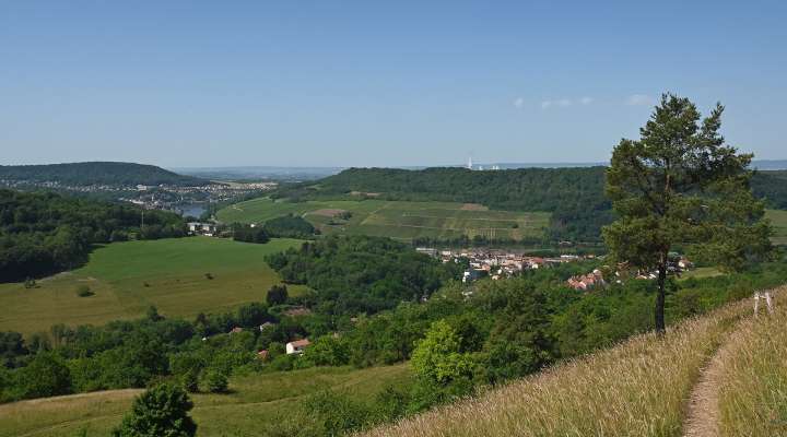 Pelouses calcaires d'Apach et de Merschweiller
