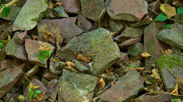 Sierck-les-Bains quartzite outcrop