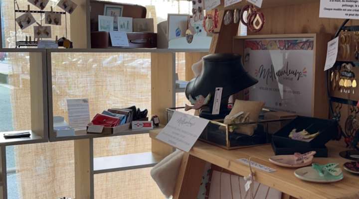 Boutique âne art'cie