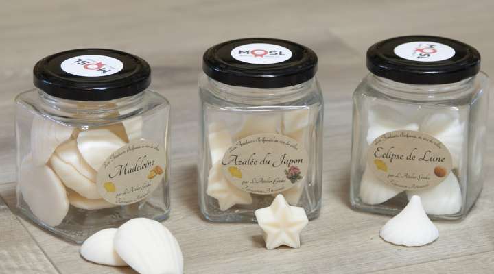 Ginkgo déco