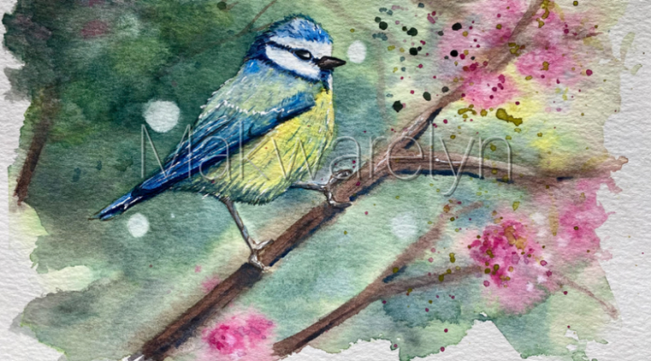 Atelier aquarelle 'Mésange bleue'