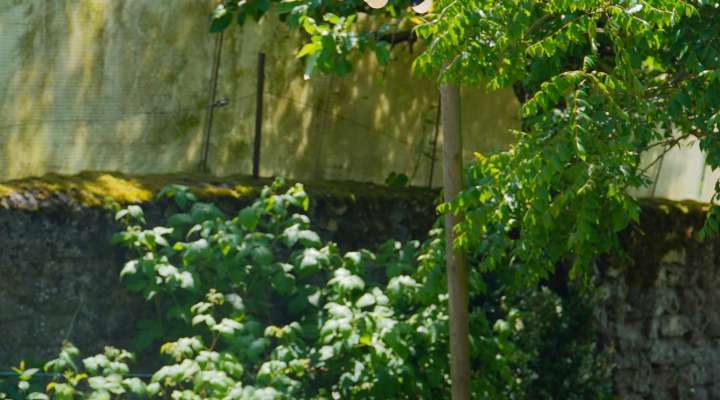 Café restaurant Flamm